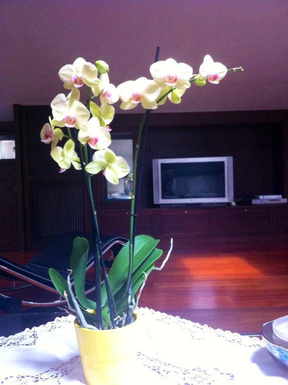 B&B Independente Assago Exterior foto